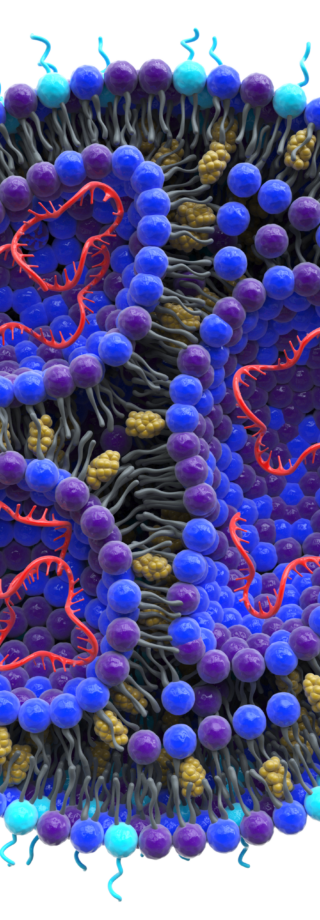 Late-Stage Development and Manufacturing of Novel Excipients for Precision Nanomedicines and Targeted Therapies