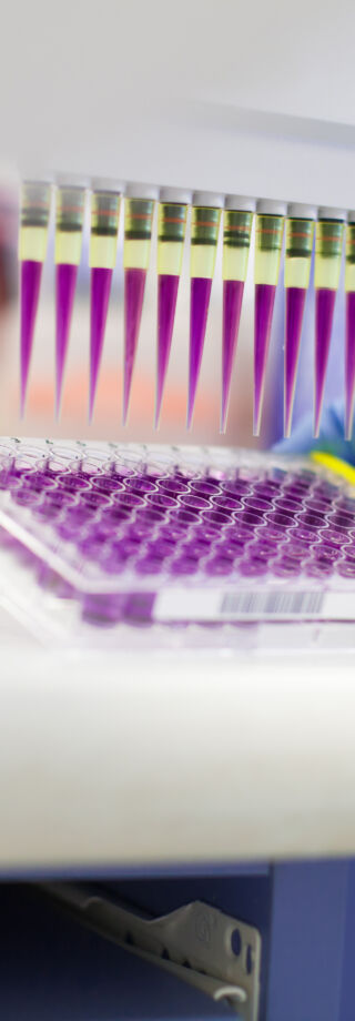 Ardena Strengthens Bioanalytical Capabilities with Operational Launch of New Oss Laboratory