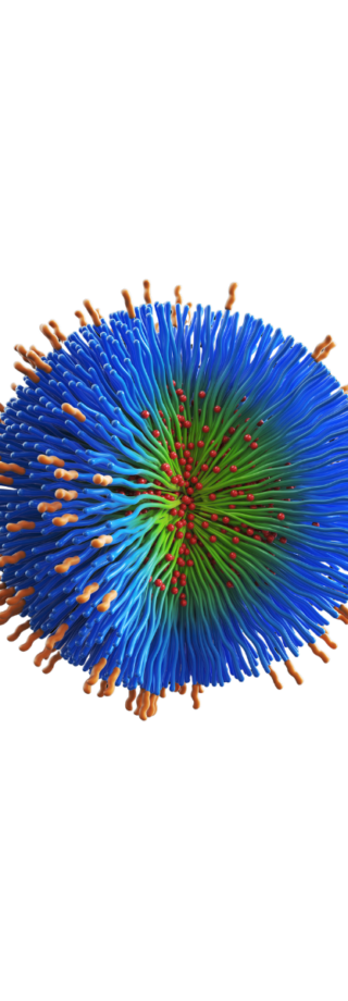Deciphering the Complex Characteristics of Nanomedicine