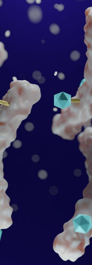 ADC & XDC Development, from Chemistry to Clinic