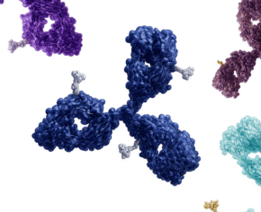 Bioconjugation Chemistry