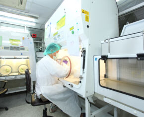 Drug Linker and Payload