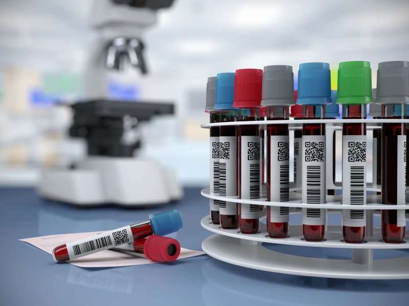Small Molecule PK Testing: From First Dose to Steady State