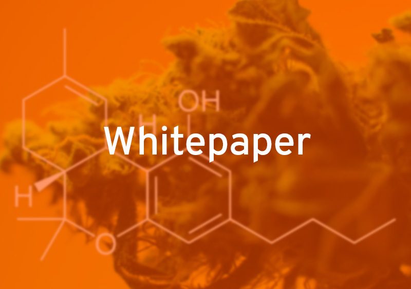 Much more than just smoke – from marijuana to medicinal cannabis derived therapeutics