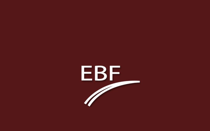 EBF Spring Focus Workshop 2024