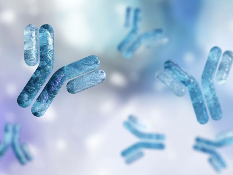 Lipid Nanoparticle Characterisation: The 4 CQAs You Cannot Skip