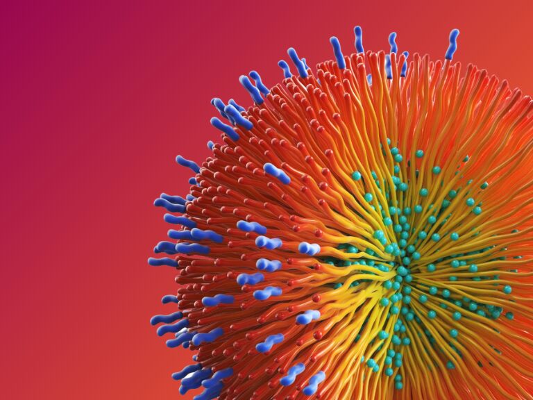 Improving Accuracy in Size Measurements of Nanomedicine: Insights from Maria Marioli’s Latest Research