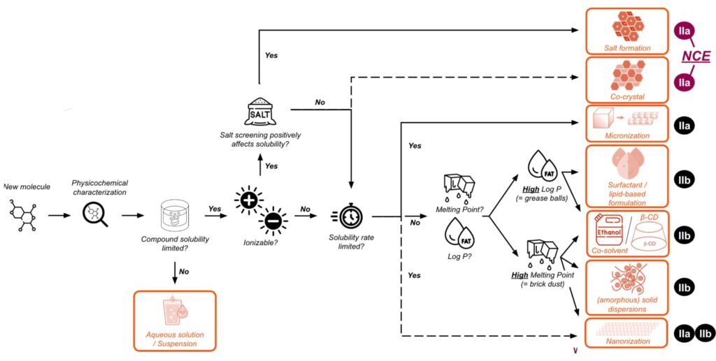 A Strategic Roadmap to Enhance Bioavailability: From Salts to Enabling Technologies