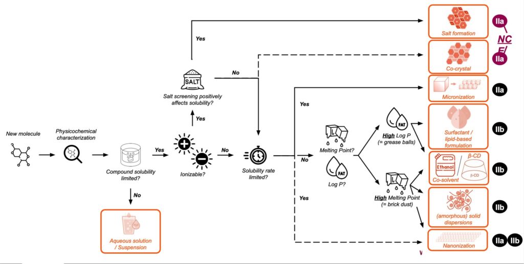 A Strategic Roadmap to Enhance Bioavailability: From Salts to Enabling Technologies
